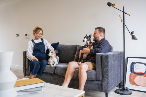 Pet friendly apartments Northern Quarter